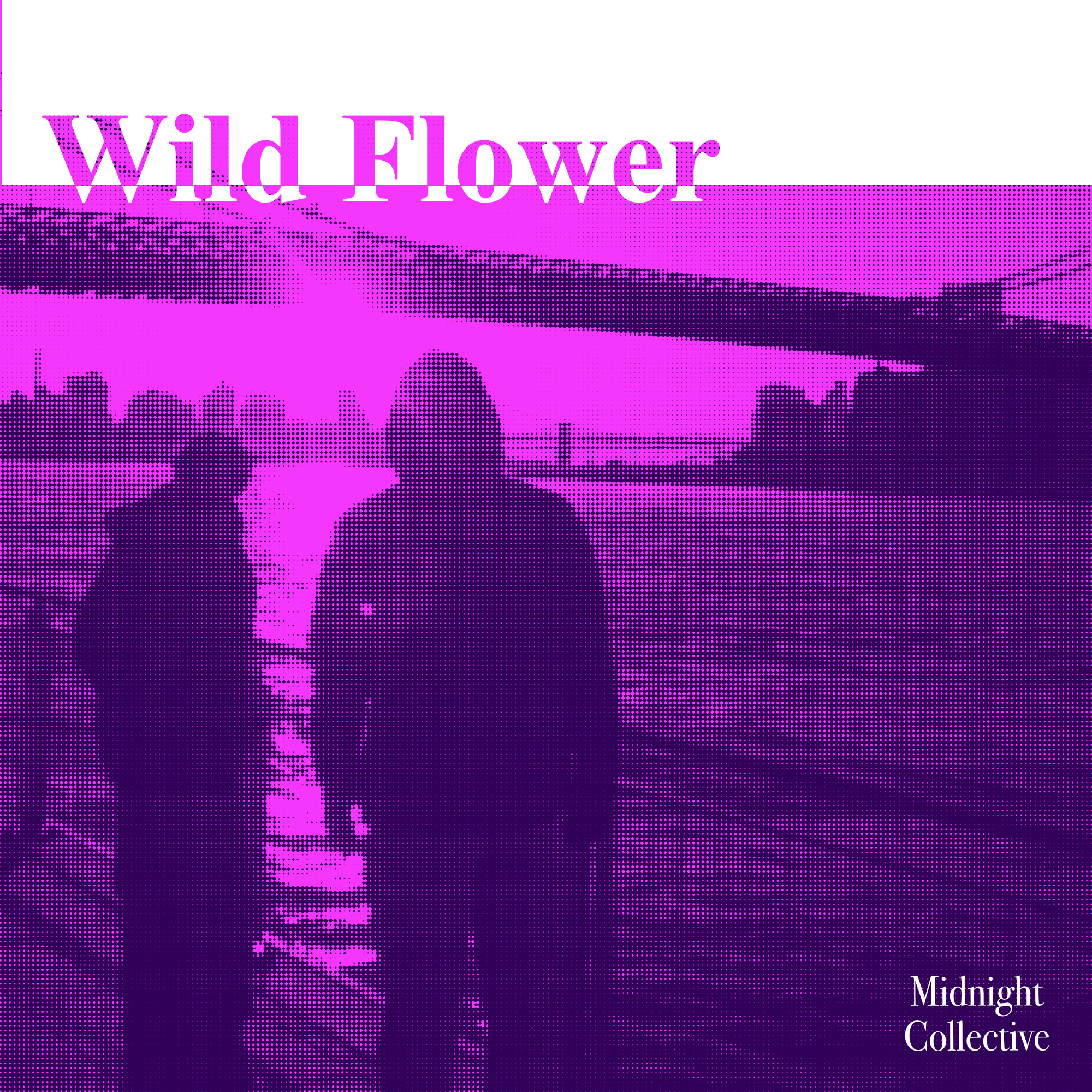 Wild Flower album art